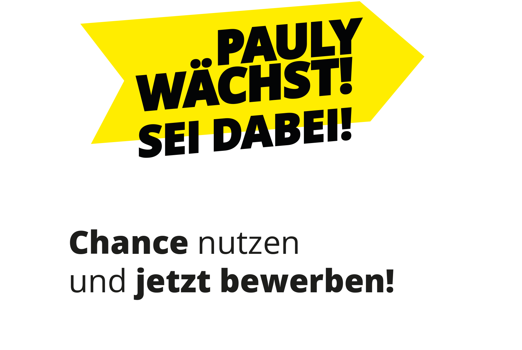 You never work alone! Pauly GmbH